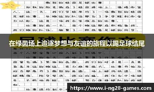 在绿茵场上追逐梦想与友谊的旅程以踢足球结尾